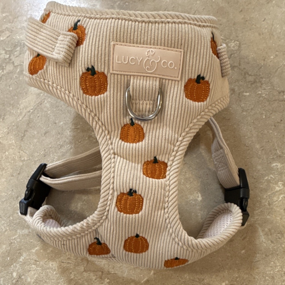 Lucy & Co. Adjustable Padded Fabric Dog Harness Pumpkin Print Soft Vest